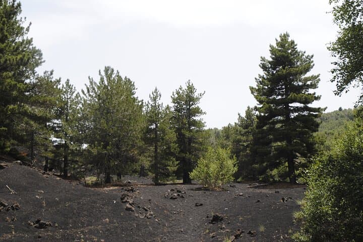 Mount Etna & Alcantara Gorges Day Tour from Taormina: Lava Hikes and River Walks photo 5