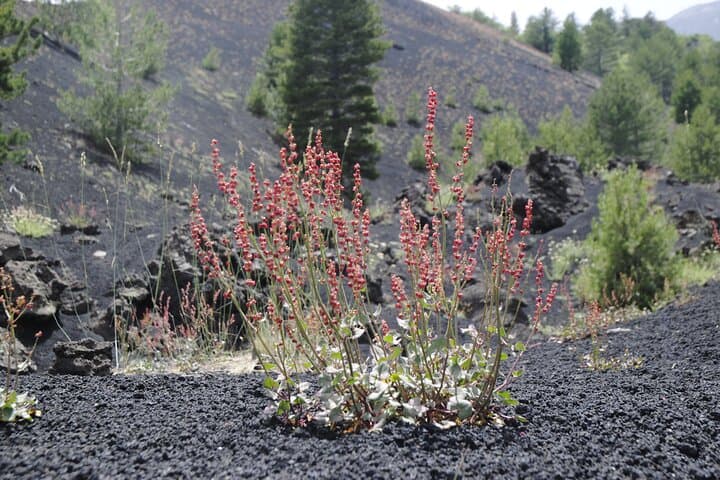 Mount Etna & Alcantara Gorges Day Tour from Taormina: Lava Hikes and River Walks photo 4