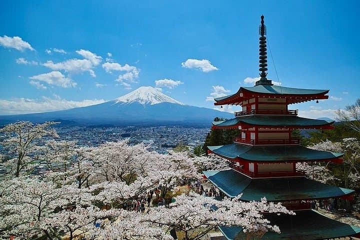 Private Mt. Fuji Shibazakura Spring Tour from Tokyo — Shibazakura Fields & Chureito Pagoda photo 4