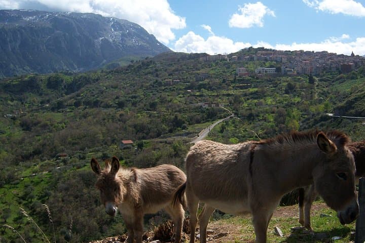 Madonie Medieval Villages Day Tour from Cefalù (Private Full-Day) photo 3