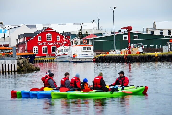 Private Kayak Tour in Siglufjörður: Seal-Spotting & Evanger Ruins