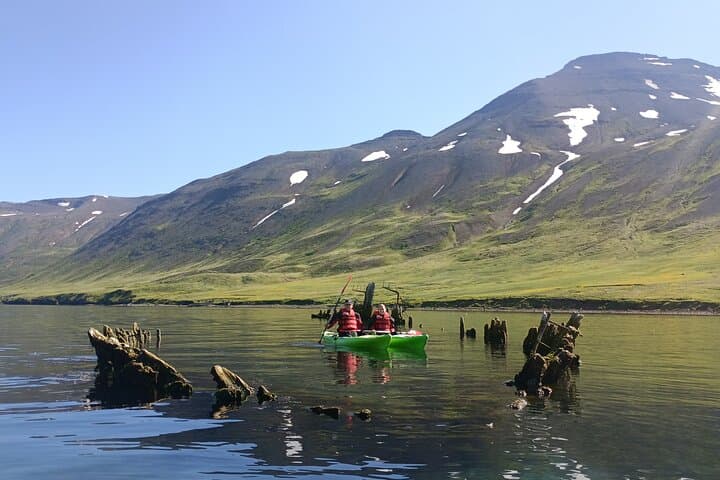 Private Kayak Tour in Siglufjörður: Seal-Spotting & Evanger Ruins photo 3