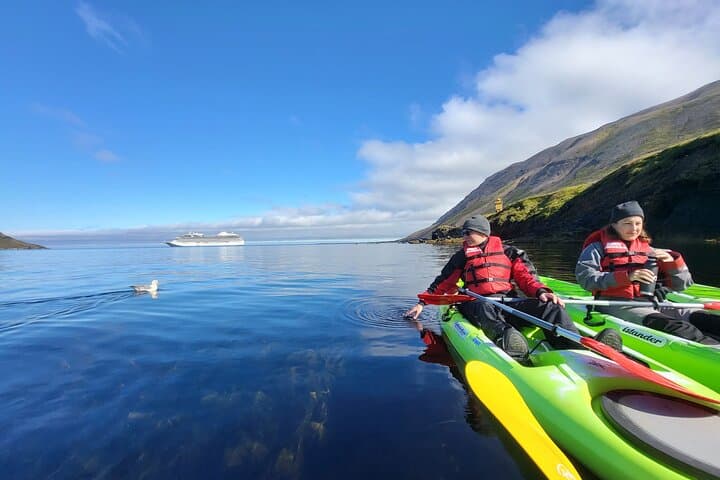 Private Kayak Tour in Siglufjörður: Seal-Spotting & Evanger Ruins photo 4
