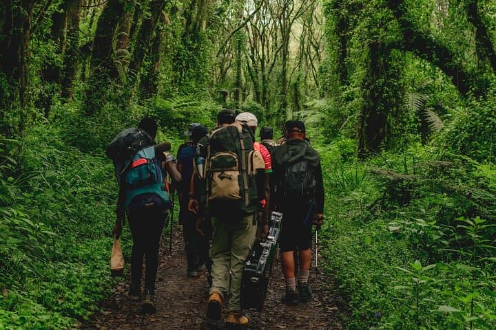 7-Day Lemosho Route Kilimanjaro Summit: Private Guided Trek to Uhuru Peak photo 2