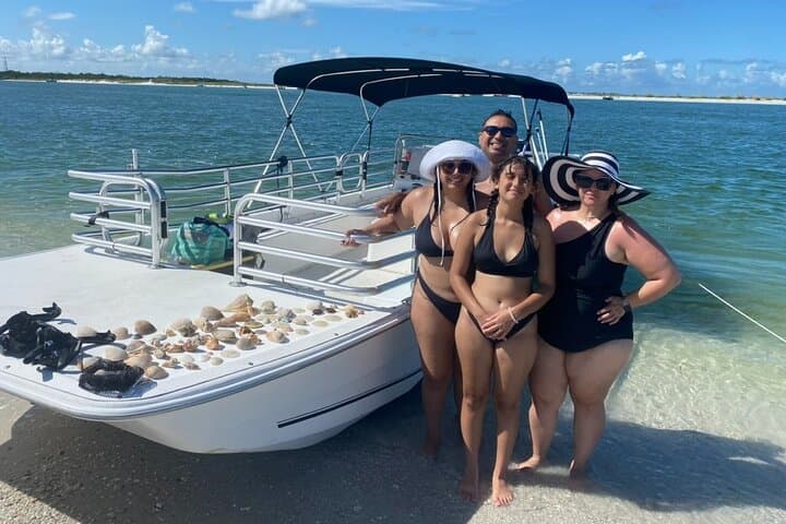 Shell Key Island Adventure: 2.5-Hour Dolphin Cruise & Shelling from St. Petersburg photo 1