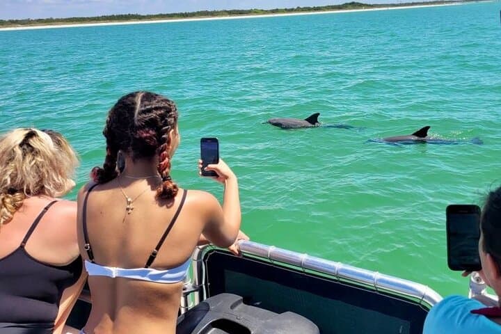 Shell Key Island Adventure: 2.5-Hour Dolphin Cruise & Shelling from St. Petersburg photo 4
