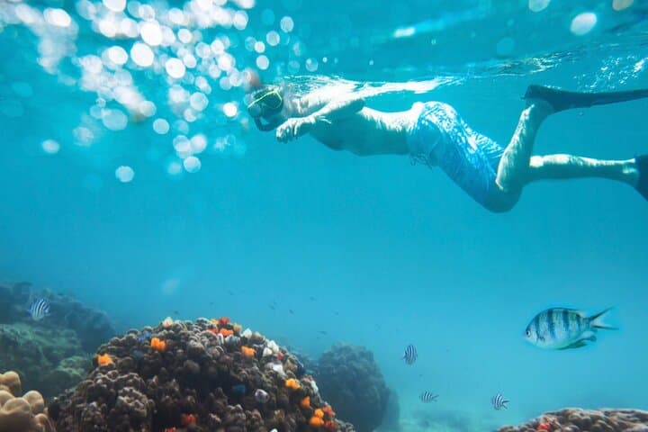 Nha Trang Snorkeling at Hon Mun Marine Park with BBQ: Half-Day Island Trip photo 4