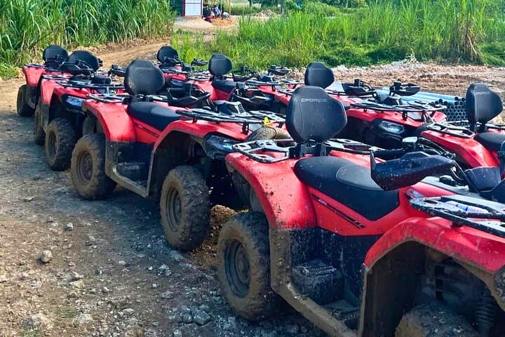 Ocho Rios Horseback Riding, ATV & Blue Hole Adventure photo 6