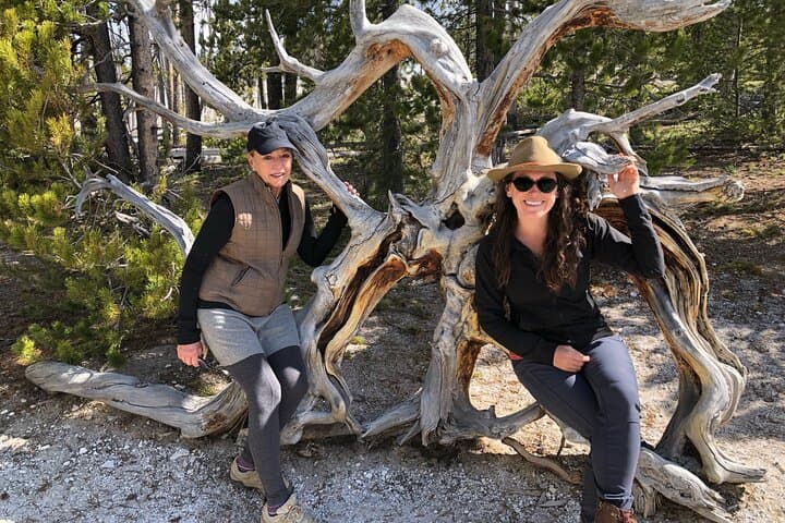 Private Hidden-Gems Hiking Tour from West Yellowstone — Full-Day Wildlife & Backcountry Experience photo 2