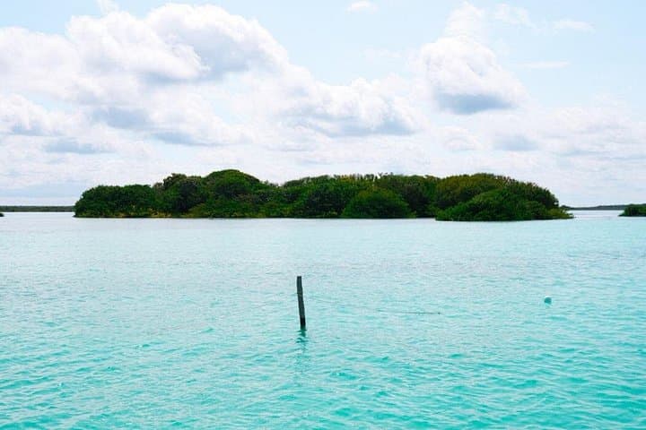 Private Sailing Adventure in Bacalar Lagoon: Mangroves, Cenotes & Bird Island photo 4
