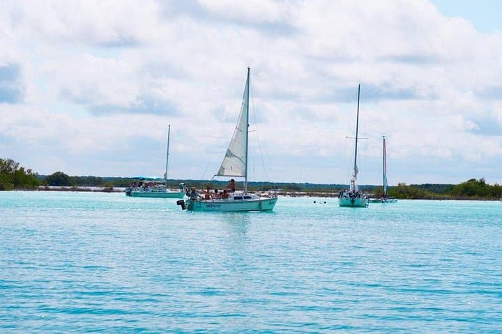 Private Sailing Adventure in Bacalar Lagoon: Mangroves, Cenotes & Bird Island photo 5