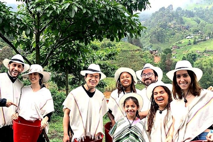 Medellín Coffee Tour: From Bean to Cup in Antioquia photo 6