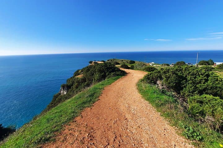Sintra, Nazaré & Óbidos Small-Group Tour from Lisbon: Palaces, Cliffs & Coastal Culture photo 3