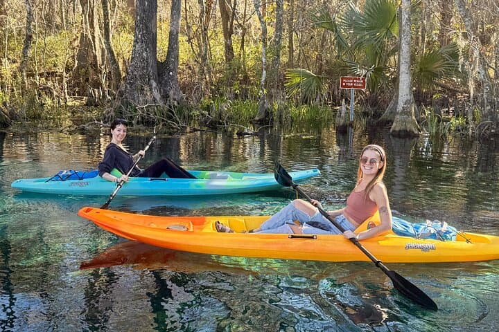 Silver Springs Premium Kayak Wildlife Experience — Guided Eco Kayaking in Florida photo 2