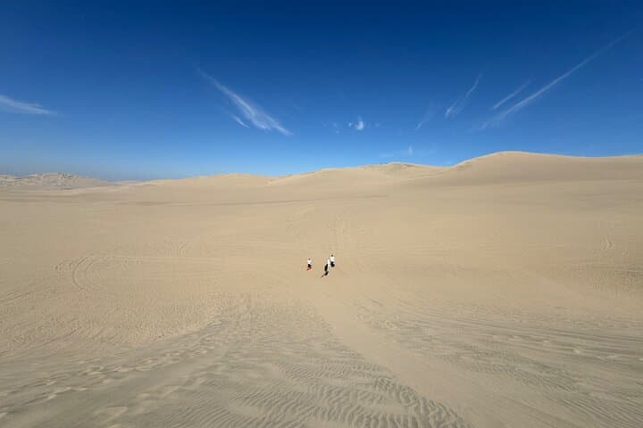Paracas, Huacachina & Vineyards: Private Full-Day All-Inclusive from Lima photo 6