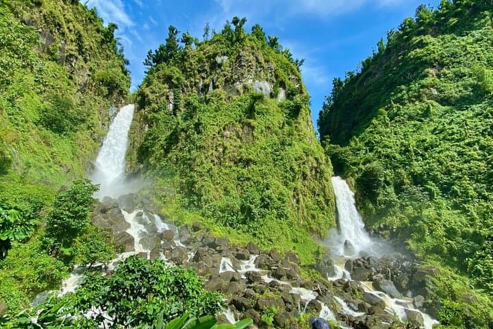 Roseau Hop-On Hop-Off: Scenic City & Rainforest Tour to Trafalgar Falls