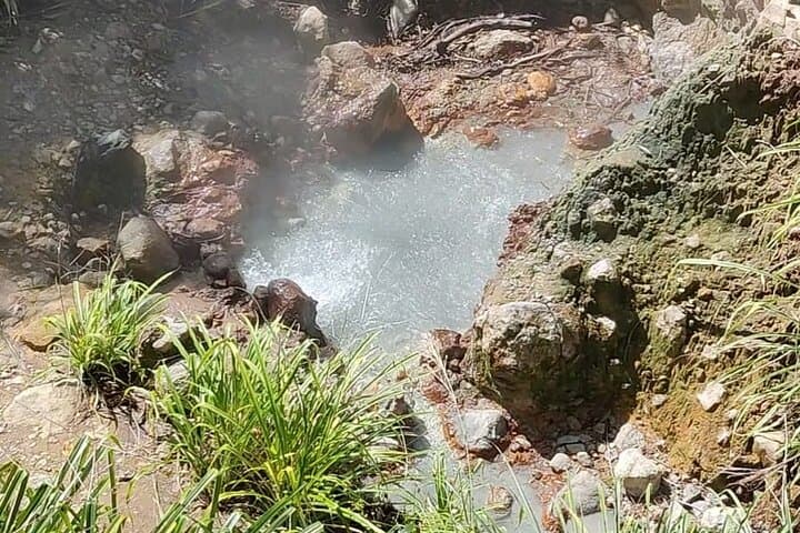 Roseau Hop-On Hop-Off: Scenic City & Rainforest Tour to Trafalgar Falls photo 4