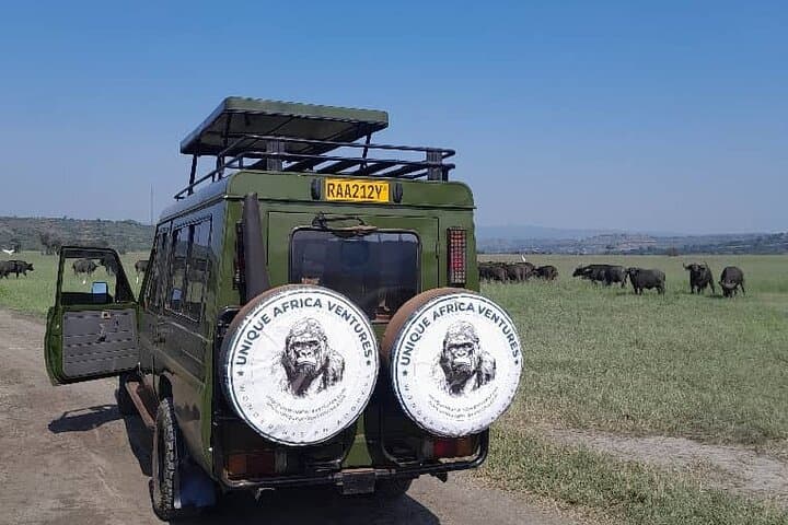 Akagera Private One-Day Game Drive from Kigali: Lake Views, Big Five & Birding photo 6
