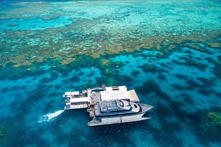 Outer Great Barrier Reef Snorkel Cruise to Agincourt Reef from Port Douglas