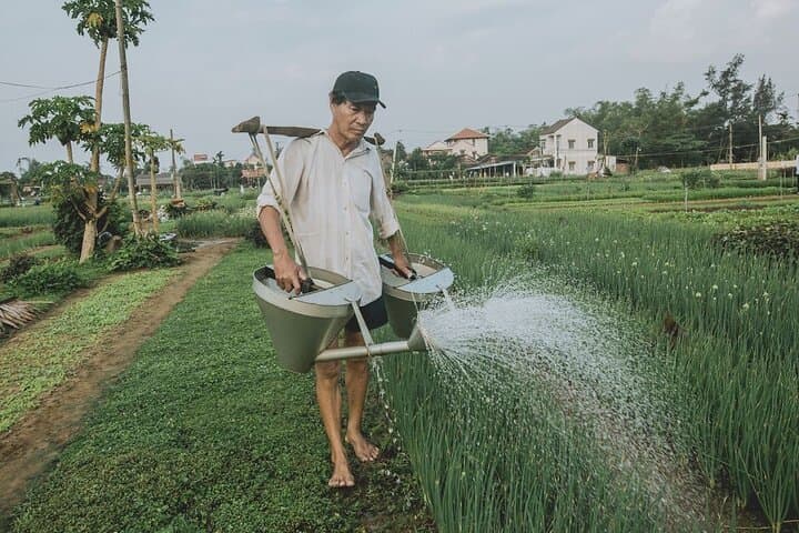 Hoi An Village Cycling, Buffalo Ride & Basket Boat Tour photo 1