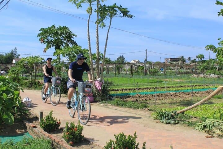 Hoi An Village Cycling, Buffalo Ride & Basket Boat Tour photo 3