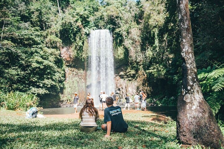 48-Hour Ancient Rainforest and Waterfalls: Cairns to Daintree & Atherton Tablelands