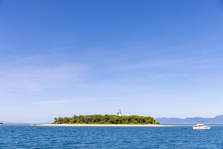 Sail to Low Isles: Wavedancer Great Barrier Reef Snorkel Cruise from Port Douglas photo 6