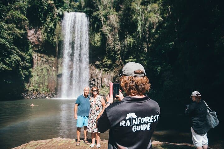 48-Hour Ancient Rainforest and Waterfalls: Cairns to Daintree & Atherton Tablelands photo 3