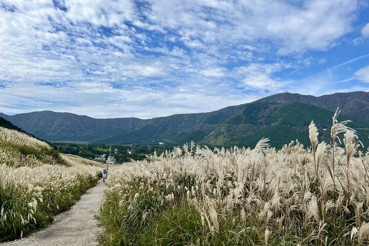 Evangelion Hakone Tour: Explore the Third New Tokyo City photo 4