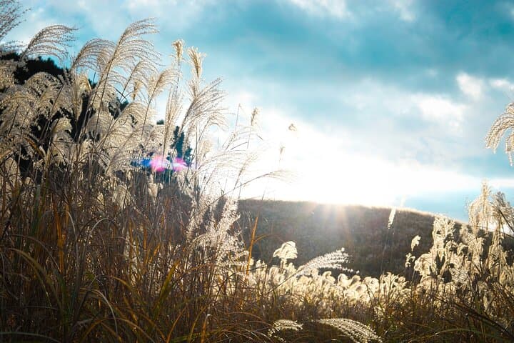 Evangelion Hakone Tour: Explore the Third New Tokyo City photo 5