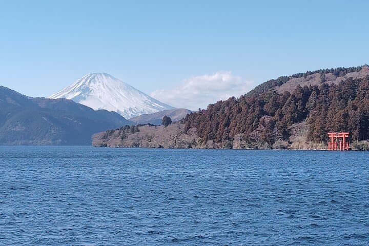 Shinjuku to Hakone Scenic Adventure: Train, Ropeway & Lake Ashi Cruise photo 3