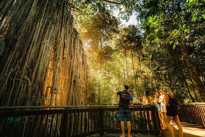 48-Hour Ancient Rainforest and Waterfalls: Cairns to Daintree & Atherton Tablelands photo 2
