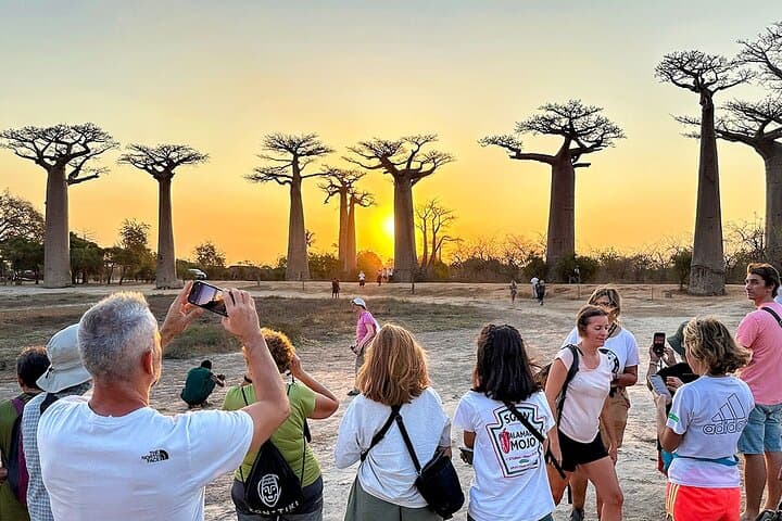 7-Day Madagascar Family Tour: Baobab Avenue & Tsingy de Bemaraha