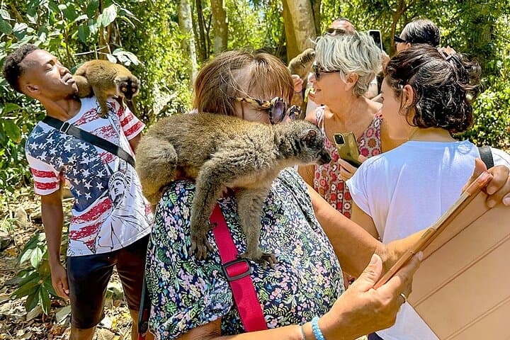 7-Day Madagascar Family Tour: Baobab Avenue & Tsingy de Bemaraha photo 4