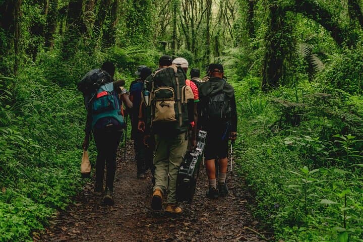 6-Day Marangu Route Kilimanjaro Trek — Hike to Uhuru Peak (Private Tour) photo 3