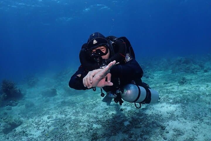 Learn to Dive in Boracay: 2-Day Private PADI Open Water Course photo 3