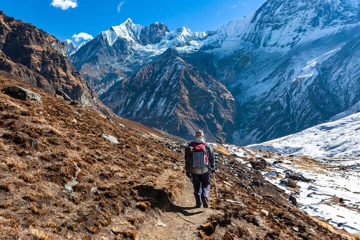 Luxury Langtang Valley Trek — 10-Day Kyanjin Gompa & Tserko Ri