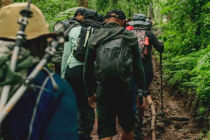 5-Day Kilimanjaro Trek via Marangu Route — Hut-to-Hut Summit on Uhuru Peak