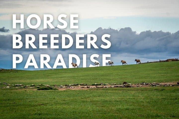 Horse Breeders’ Paradise — Central Mongolia Cultural Tour, Hot Springs & Kharkhorin Hikes