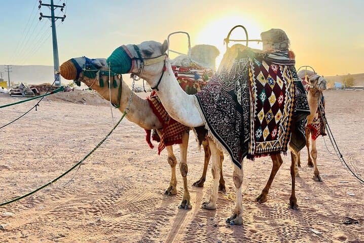 Riyadh Red Sand Dunes Safari: 4x4 Dune Bashing, Camel & Quad Adventure photo 5