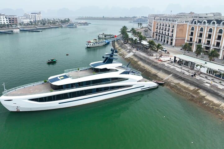 Luxury Taliya Day Cruise: Ha Long & Lan Ha Bay From Hanoi photo 4