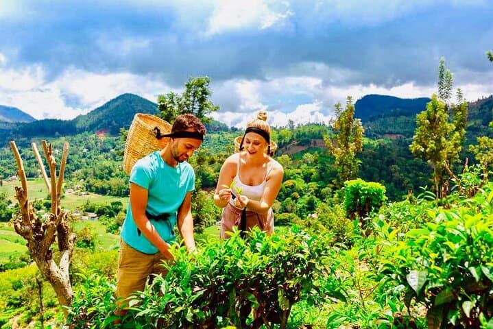 Horton Plains to Nuwara Eliya: Ramboda Falls, Gregory Lake & Damro Tea Factory Day Tour photo 4