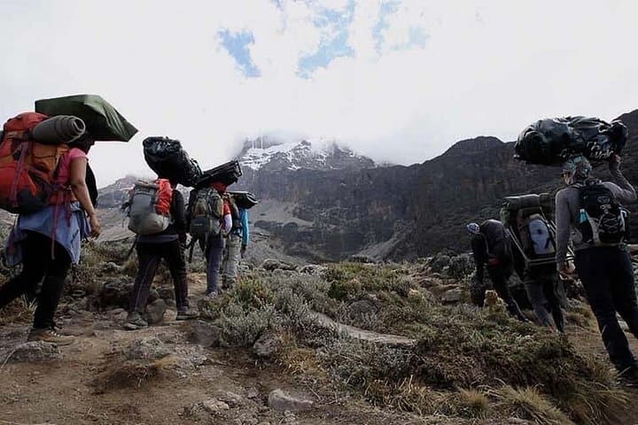 Machame Route Kilimanjaro 7-Day Trek: Classic Ascent to Uhuru Peak photo 2