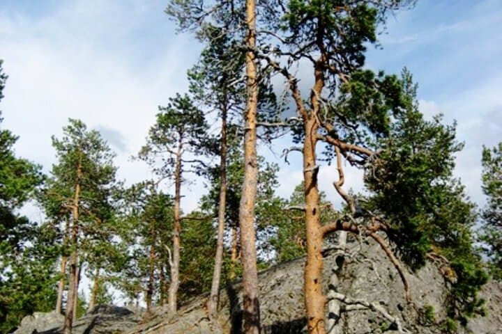 Rovaniemi Devil's Churns: Explore Sukulanrakka's Giant Potholes photo 2