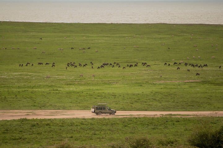 4-Day Private Safari: Tarangire, Serengeti & Ngorongoro photo 2