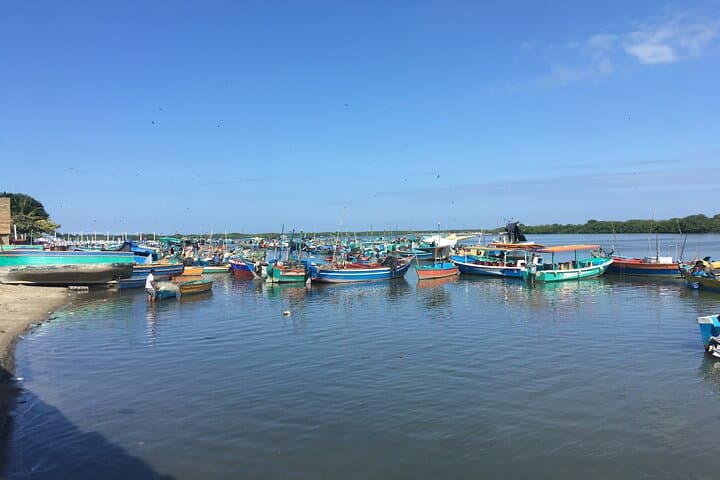 Peru Highlights: 21-Day Andes-to-Amazon Adventure photo 5