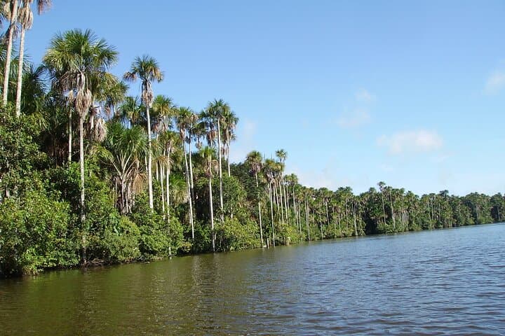 Peru Highlights: 21-Day Andes-to-Amazon Adventure photo 6