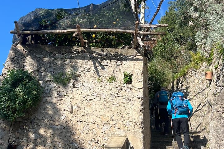 Sentiero dei Limoni: Guided Lemon Path Walk & Tasting from Positano photo 3