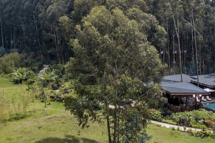 2-Day Gorilla Trekking and Iby'Iwacu Cultural Village from Kigali photo 4