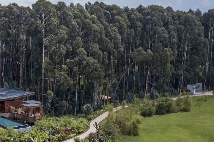 2-Day Gorilla Trekking and Iby'Iwacu Cultural Village from Kigali photo 3